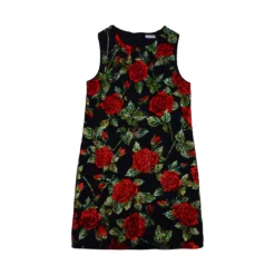 Dolce & Gabbana Dress With Crystals